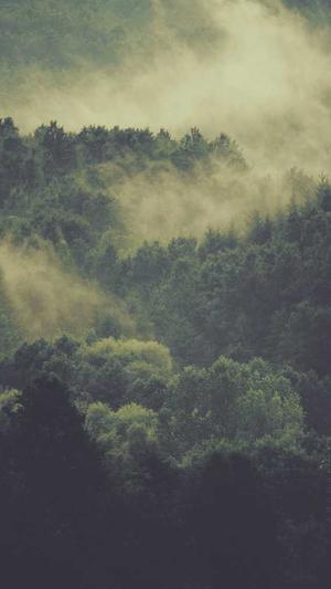 网站排名工具seo截图1