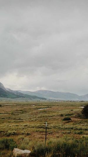 seo推广优化工具截图4