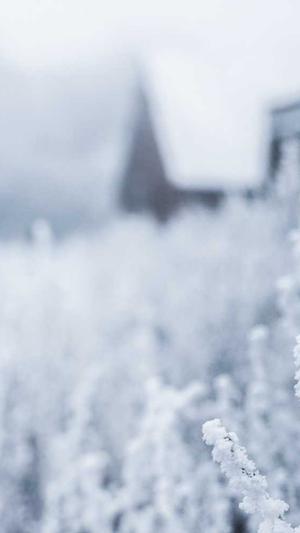 克隆站群泛目录截图2