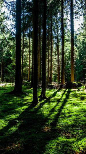 长春 网站建设截图3