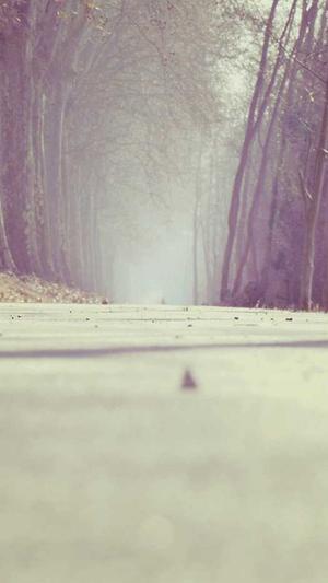 南昌seo关键词工具截图3