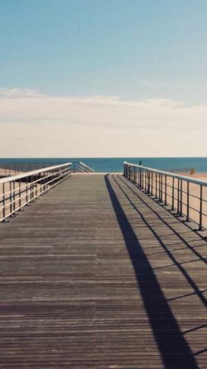 蜘蛛池试用截图1