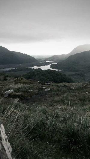 seo推广优化工具截图5