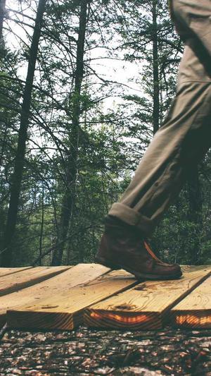 php泛目录站群截图4