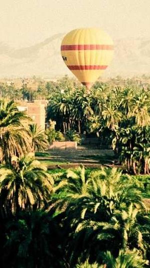 谷歌seo优化工具截图2