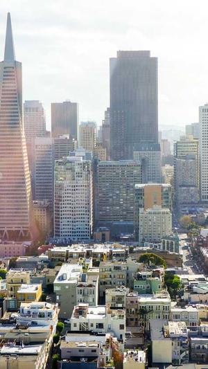 seo推广是什么截图3