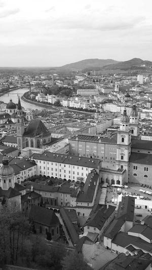 繁殖泛目录截图1