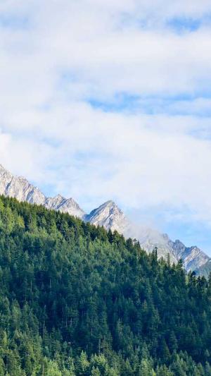 蜘蛛池外推技巧图解截图3