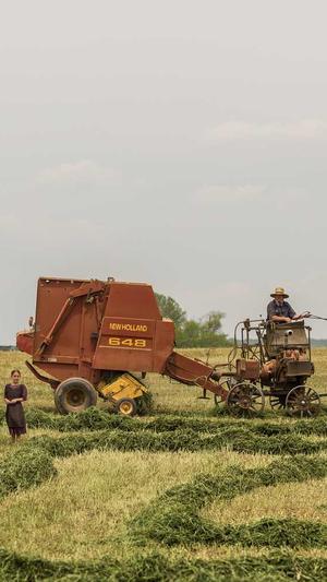 蜘蛛池成本多少钱截图2