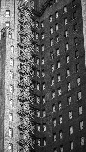 牛牛蜘蛛池下载截图1