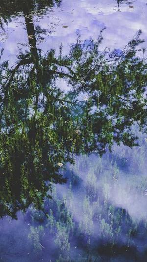 有效蜘蛛池程序截图4