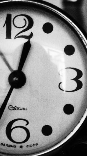 新手做黑帽蜘蛛池截图2