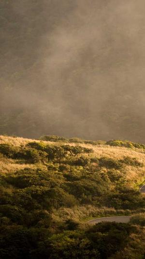 郑州网站建设公司截图2