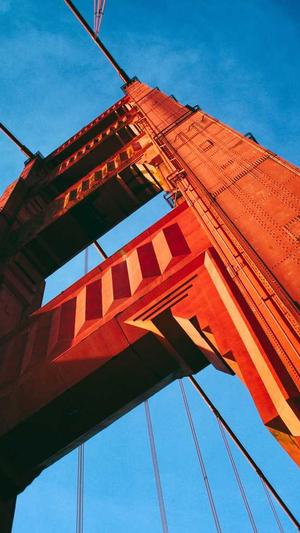 搜索留痕蜘蛛池截图3