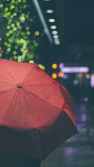 武汉seo排名工具截图3