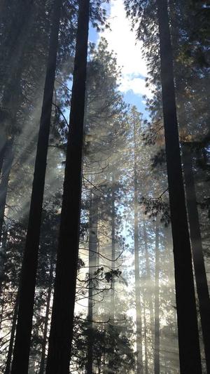 蜘蛛池外推软件ah截图3