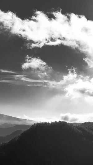 医疗网站建设截图4