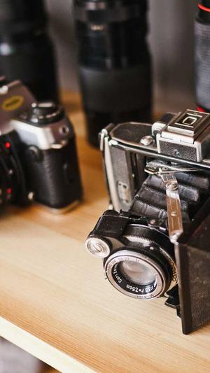 蜘蛛池用处截图2