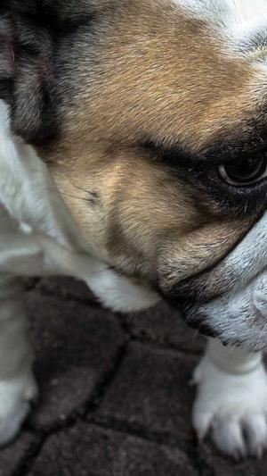 宝鸡网站建设截图1