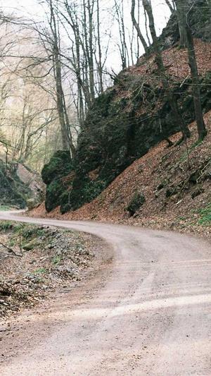 泛目录百度蜘蛛池截图4