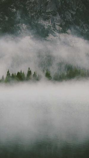 seo优化人员截图2