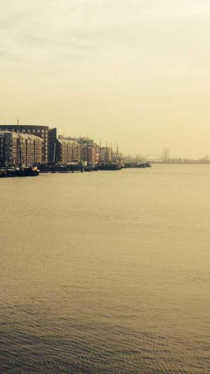 泛目录广告截图2