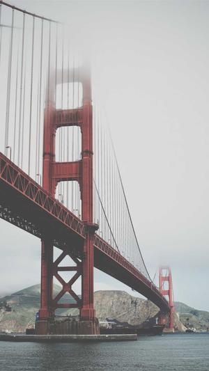 郴州市网站建设公司截图1