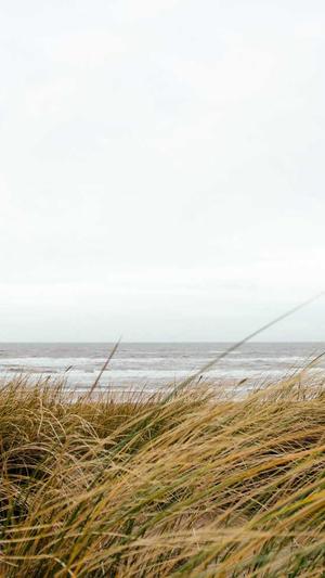 360seo查询工具截图3