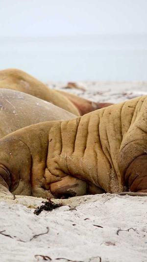 南京网站建设制作截图2