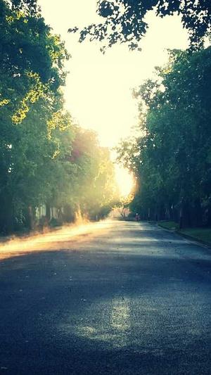 seo关键词工具优帮云截图4