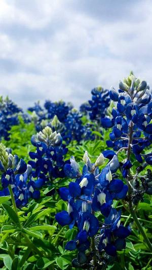 长春 网站建设截图1