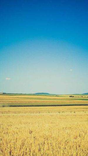 蜘蛛池泛站群截图2