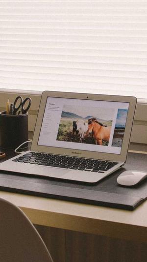 seo蜘蛛池快速收录推广截图2