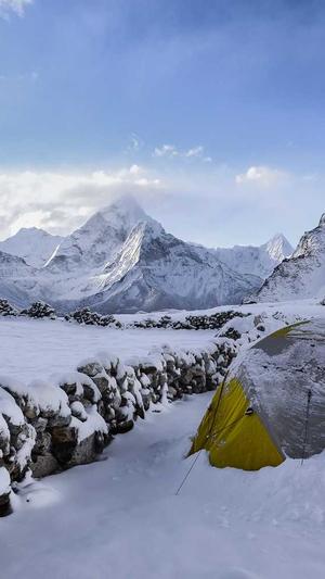 百度蜘蛛池收录查询截图3