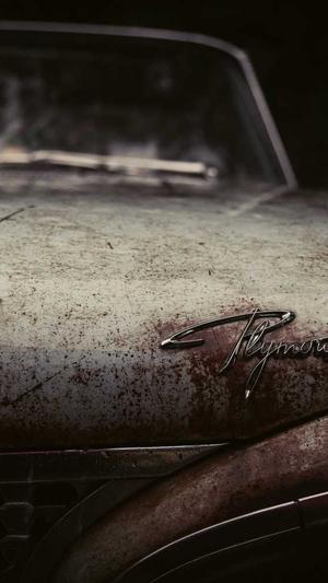 泛目录程序发布到dede截图3