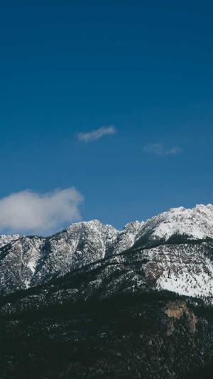 手动搭建蜘蛛池截图2
