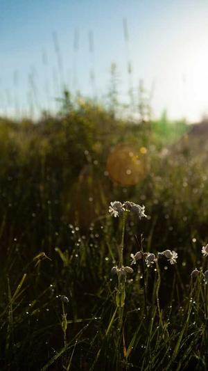 天津工程建设信息网站截图4