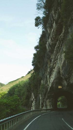 网站蜘蛛池怎么做的多截图2