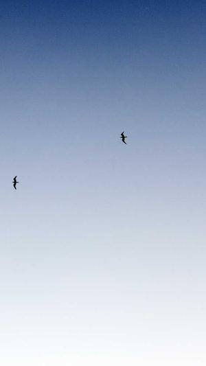 嘉定网站建设截图5