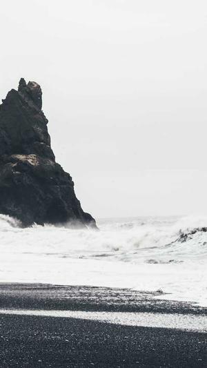 seo站长查询工具截图3