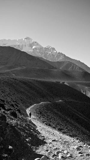 seo引擎优化工具截图2