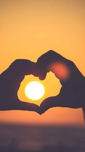 小旋风万能蜘蛛池x5截图2