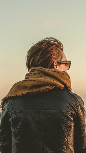 百度seo收录工具截图2