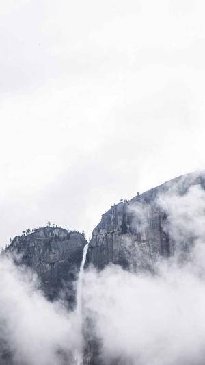 蜘蛛池成本多少钱截图3