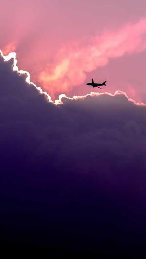 嘉兴网站建设截图3