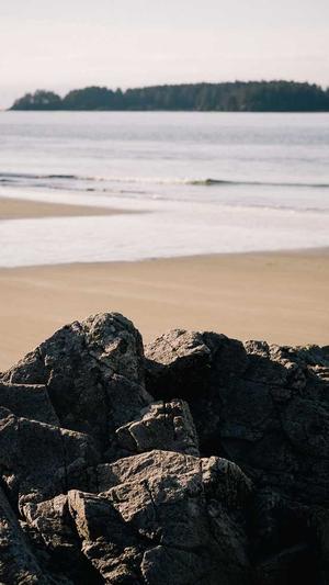 蜘蛛池免费运营截图4