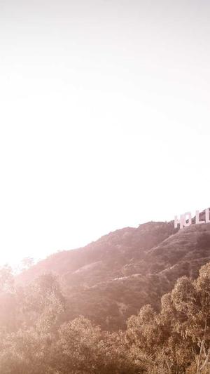 蜘蛛池 百家号截图3