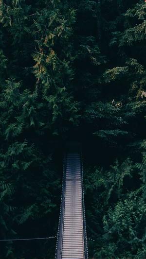 安徽省建设厅官方网站截图1