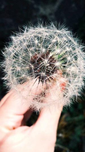 seo排名查询工具截图4