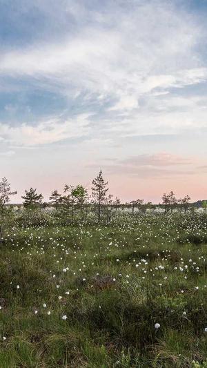 seo关键词工具官网截图3